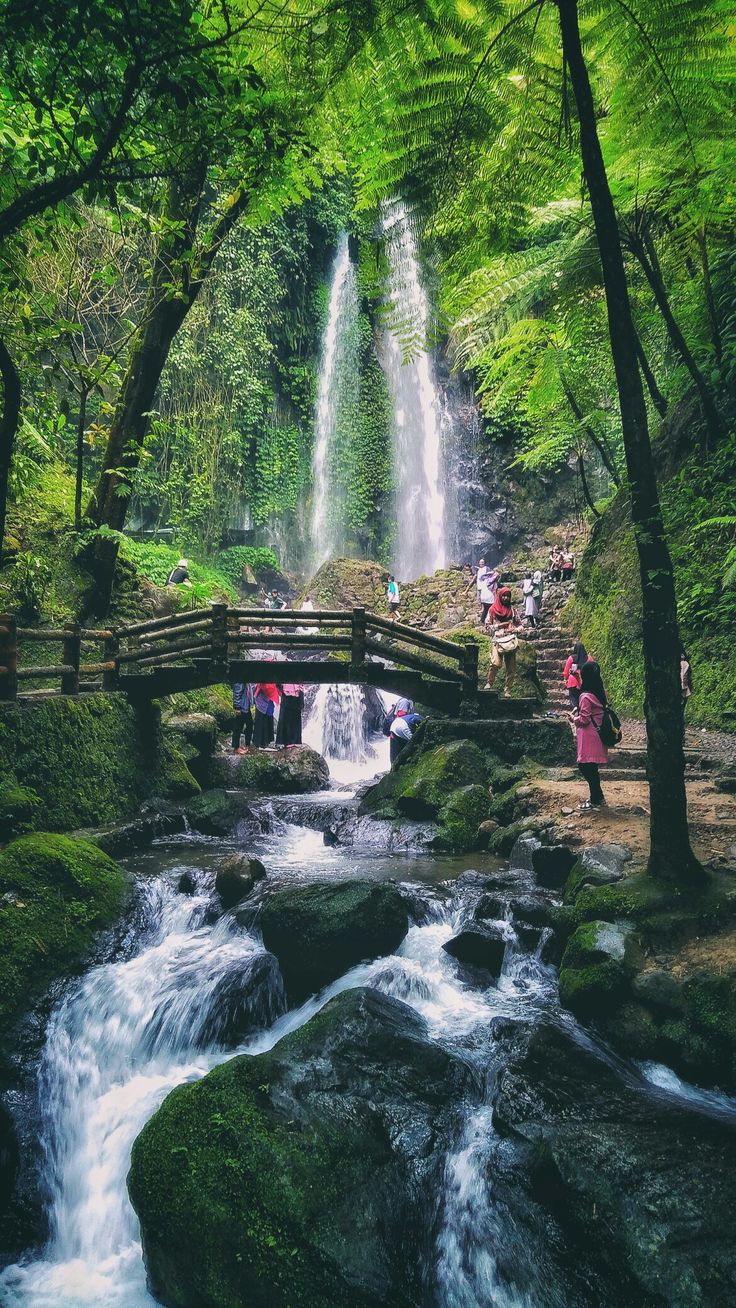 Trekking jalur air terjun